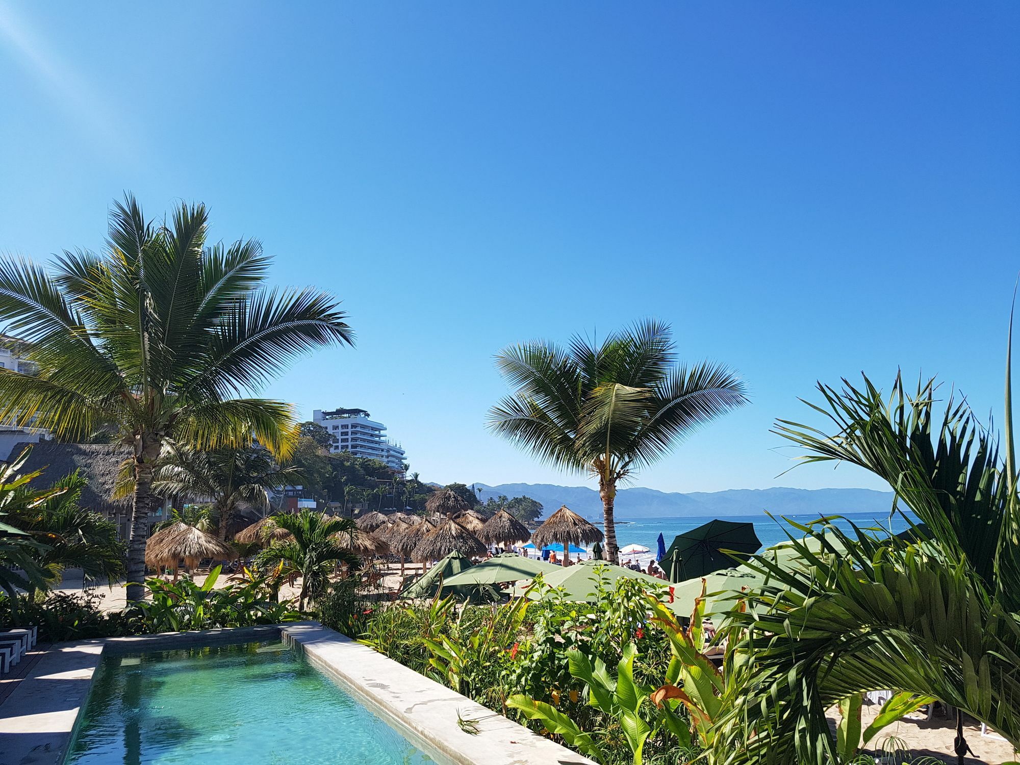 Suites At Sapphire Ocean Club 푸에르토 발라타 외부 사진